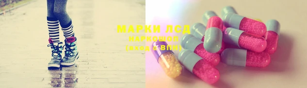 молекула духа Гусев