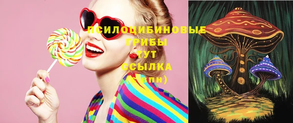 дурь Гусиноозёрск