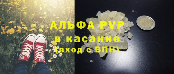 ПСИЛОЦИБИНОВЫЕ ГРИБЫ Горнозаводск