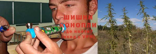 прущая мука Горняк